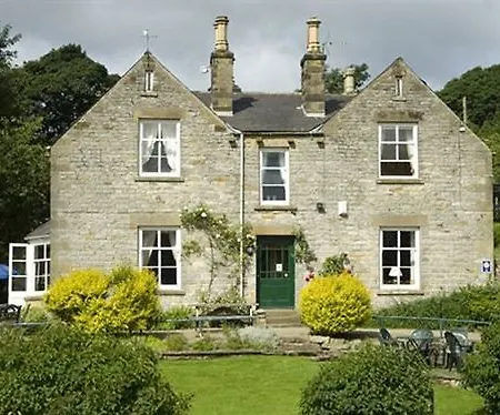 The At 4*